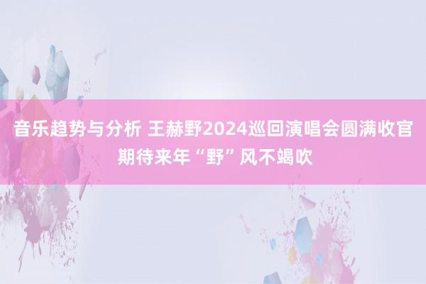 音乐趋势与分析 王赫野2024巡回演唱会圆满收官 期待来年“野”风不竭吹